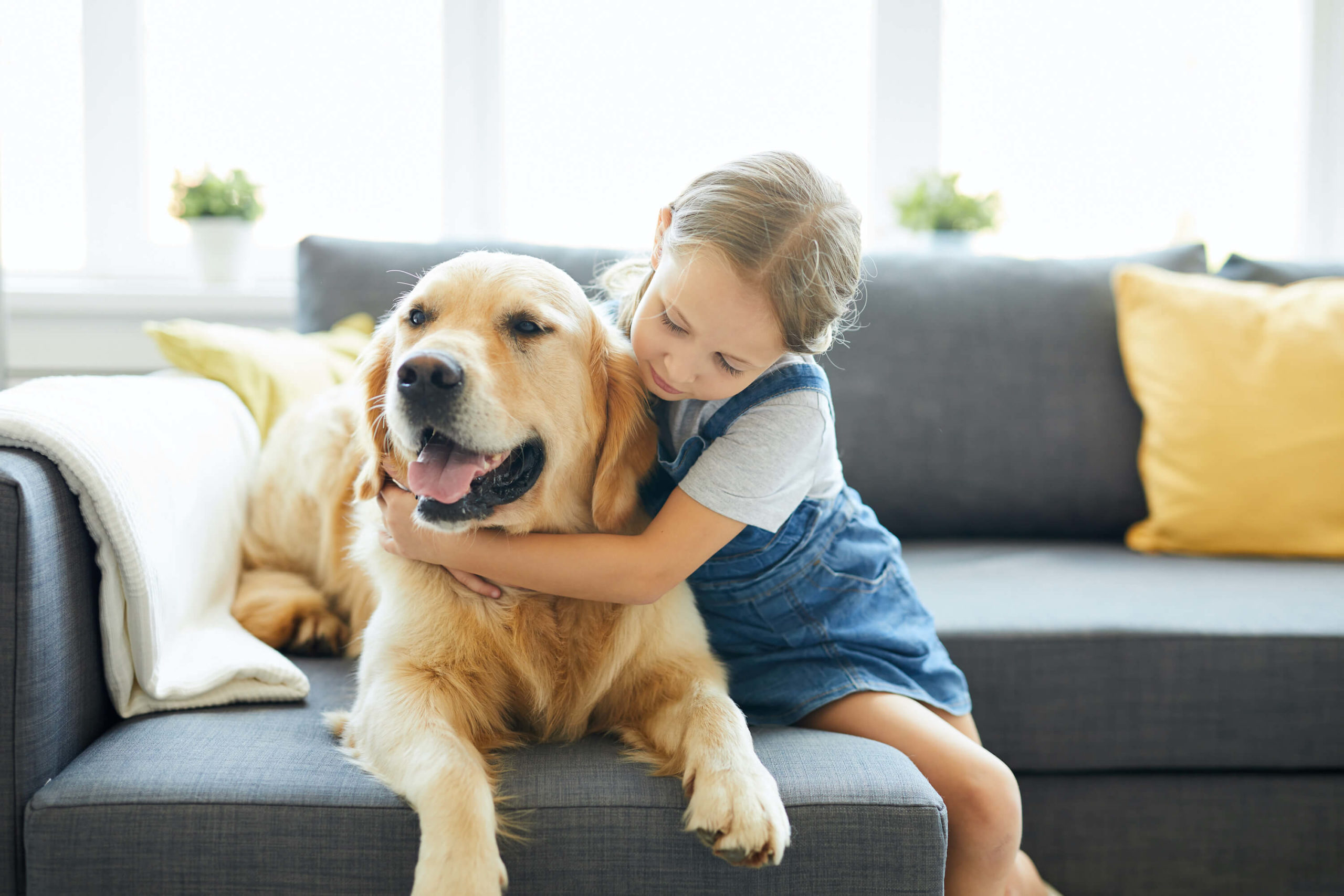 What are the best pets for young kids? Advice from a veterinarian 7