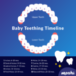 How Long Does Teething Last? A Timeline For Parents