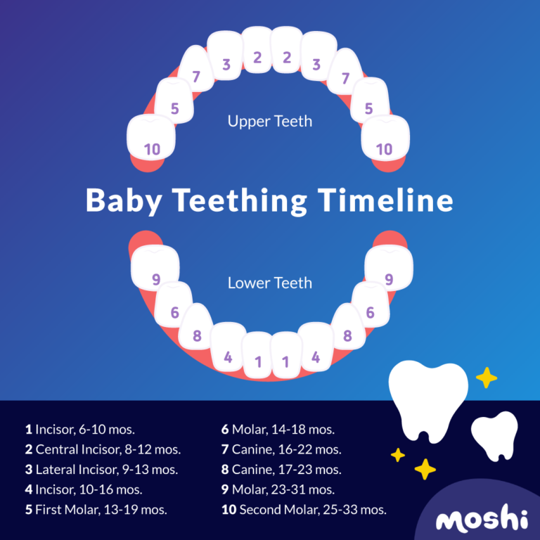 How Long Does Teething Last? A Timeline For Parents Moshi