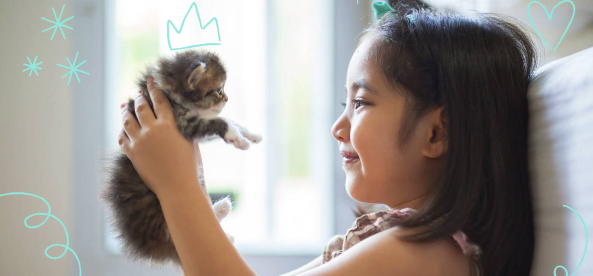 Pets, Emotional Support & Allergies 1