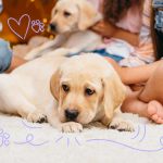 The Benefits of Growing Up with a Family Dog