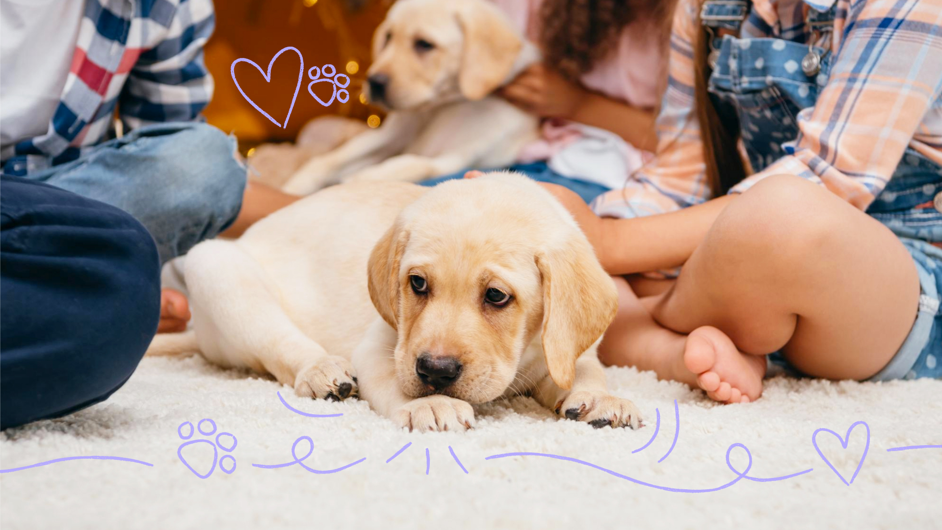 The Benefits of Growing Up with a Family Dog