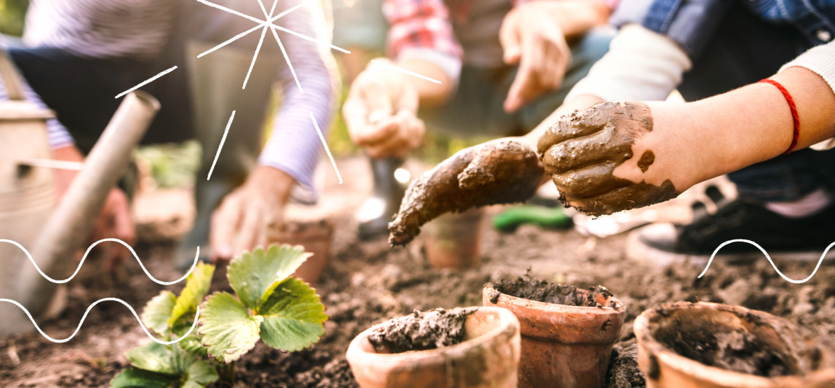 International Mud Day