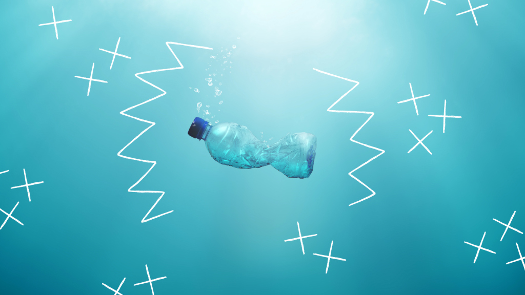 World Oceans Day: Plastic Pollution