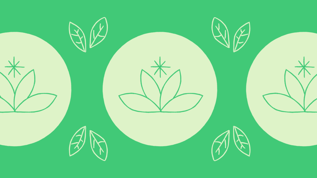 National Simplicity Day: A Guide to Slow Living